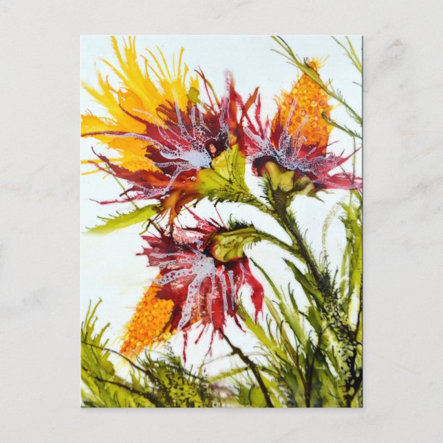 Cartão Postal "Bursting"  Postcard featuring Art by JAC (Frente)