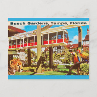 Cartão Postal Busch Gardens Tampa Flórida