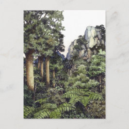 Cartão Postal Bush Impressões Nova Zelândia