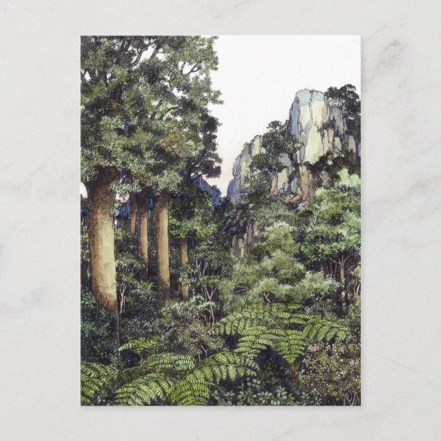 Cartão Postal Bush Impressões Nova Zelândia (Frente)