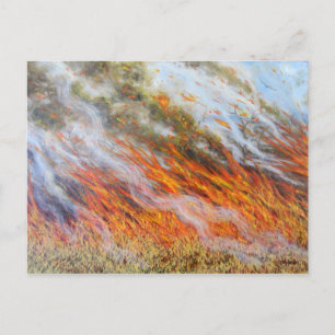 Cartão Postal Bushfire Inferno 2014