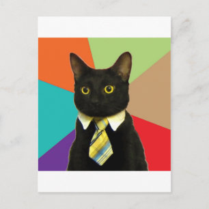 Cartão Postal Business Cat Advice Animal Memory