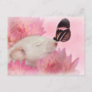 Cartão Postal Butterfly Kisses Postcard
