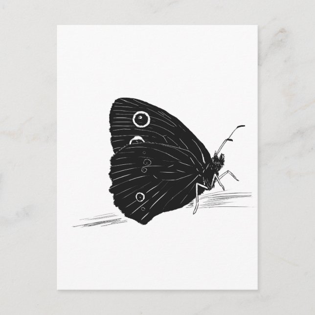 Cartão Postal Butterfly Monochrome  (Frente)