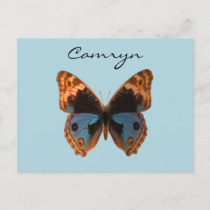 Cartão Postal Butterfly Moth Insect Nome Personalizado