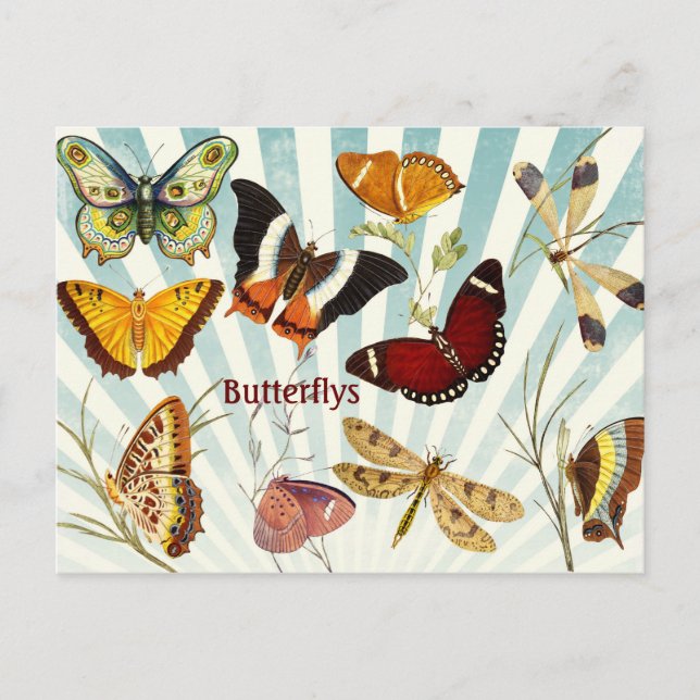 Cartão Postal Butterflys (Frente)