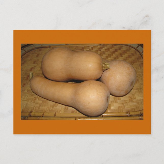 Cartão Postal Butternut Squash (Frente)