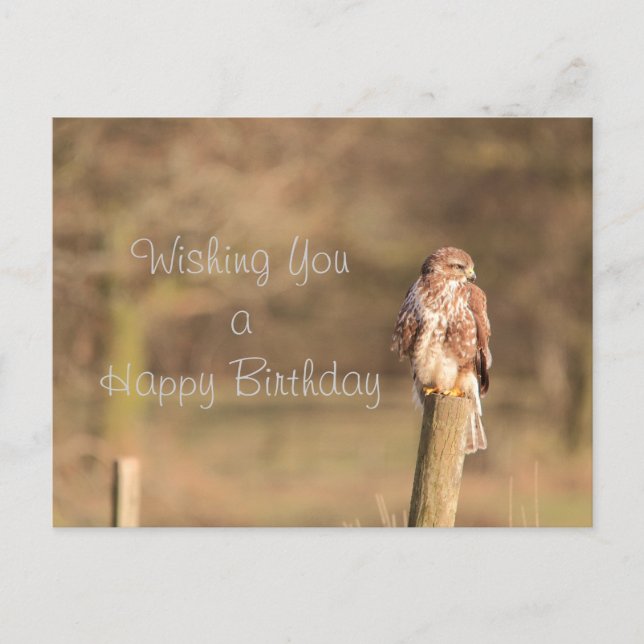 Cartão Postal Buzzard (Frente)