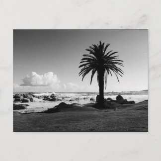 Cartão postal BW JTG "Camps Bay South Africa"