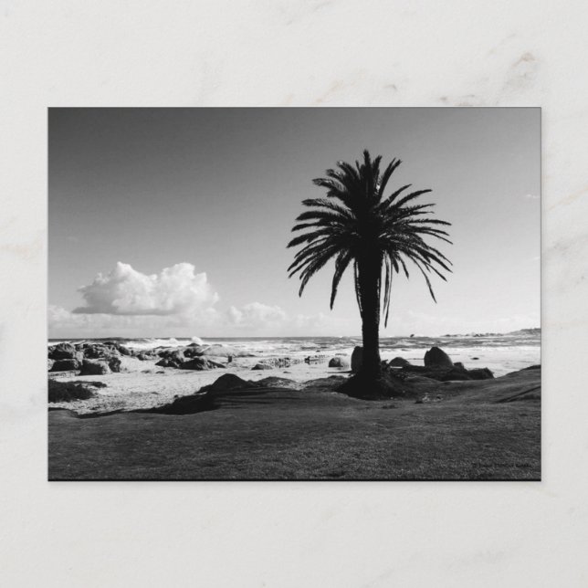 Cartão postal BW JTG "Camps Bay South Africa" (Frente)