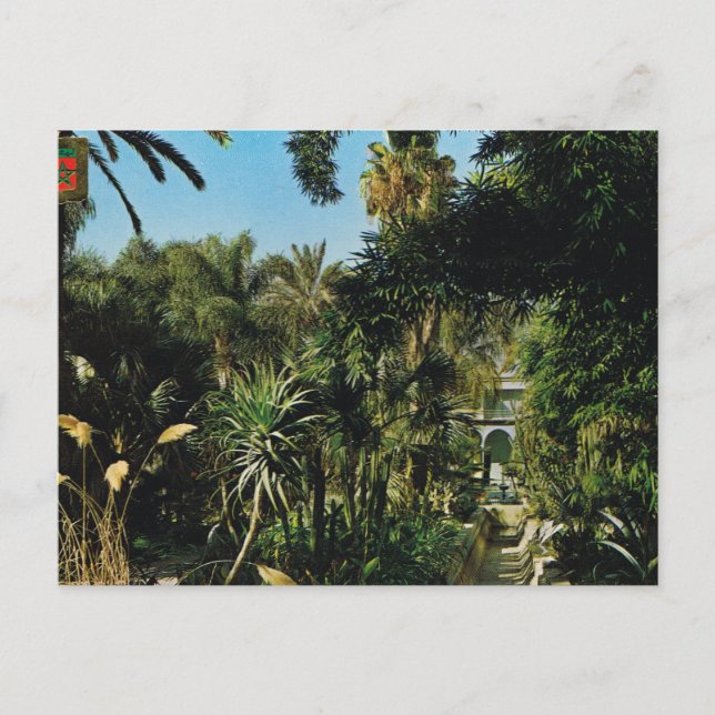 Cartão Postal C4marraquexe, jardins de Majorelle, Marrocos (Frente)