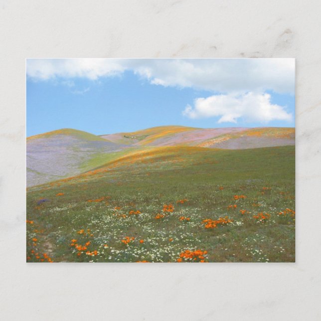 Cartão Postal C Spring Lndscp (Frente)