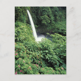 Cartão Postal CA, Costa Rica. Cachoeira La Paz e impatientes