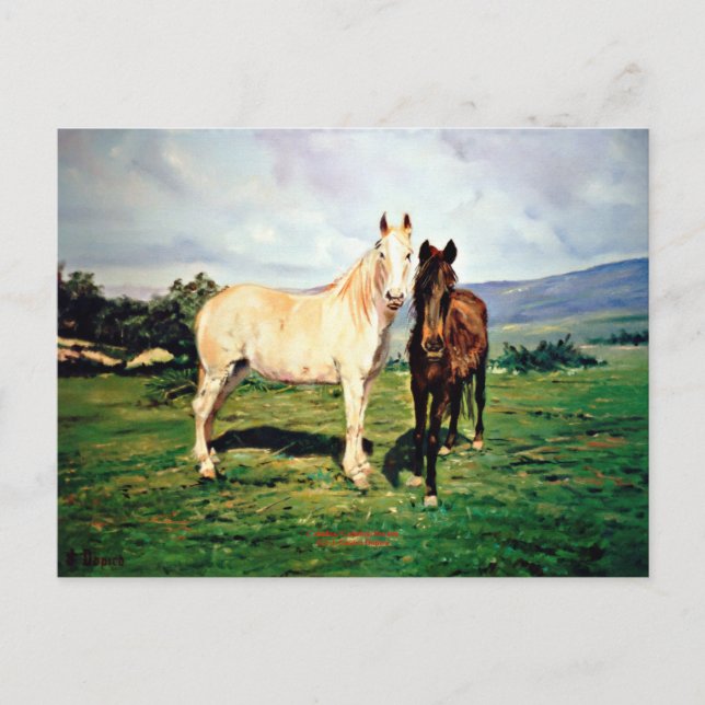 Cartão Postal Caballos/Cabalos/Cavalos (Frente)
