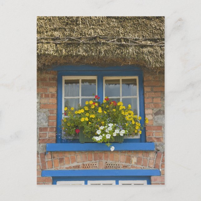 Cartão Postal Cabana com telhado de colmo, Adare, Condado de Lim (Frente)