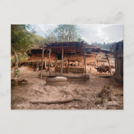 Cartão Postal Cabana de madeira rural com animais, Laos