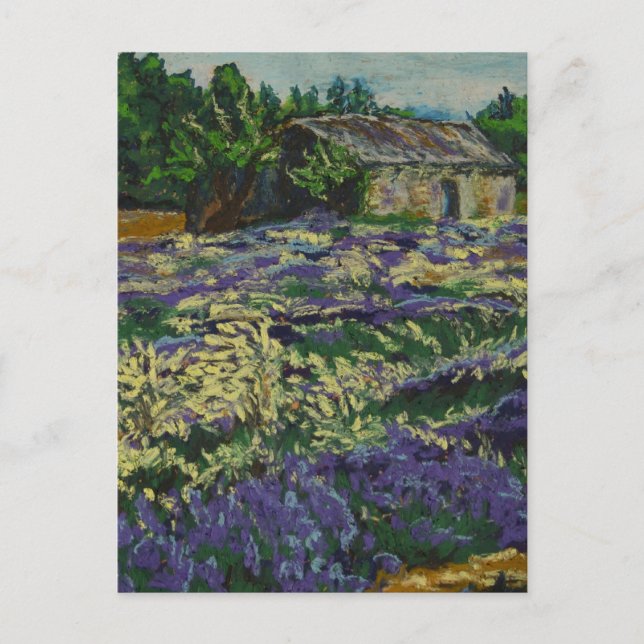 Cartão Postal Cabana na lavanda (Frente)