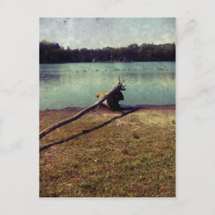 Cartão Postal Cabeça