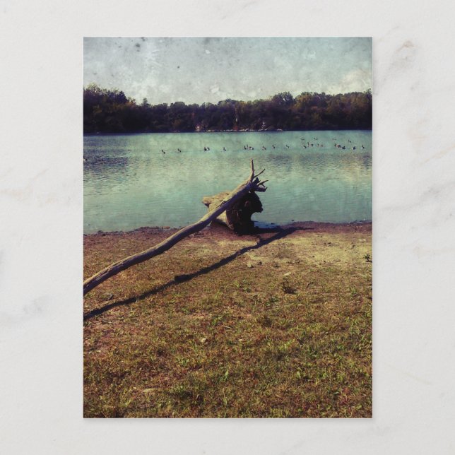 Cartão Postal Cabeça (Frente)