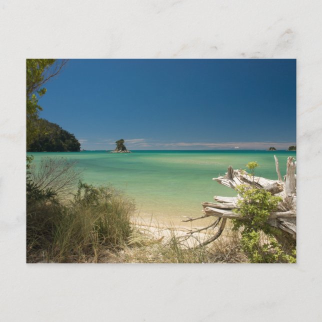 Cartão Postal Cabeça (Frente)