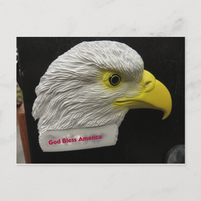 Cartão Postal Cabeça de Águia (Frente)