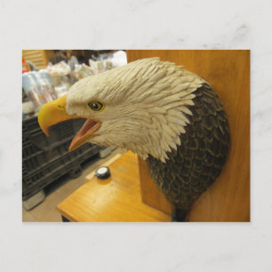 Cartão Postal Cabeça de Águia