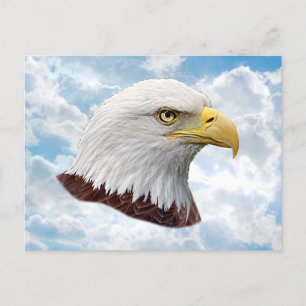 Cartão Postal Cabeça de Águia - Placa de Posto