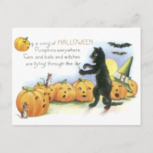 Cartão Postal Cabeça de Gato Negro Jack O' Lanterna Coro de Hal