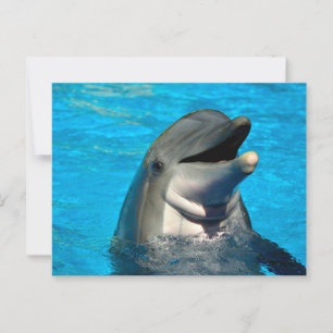 Cartão Postal Cabeça de golfinho de gargalo
