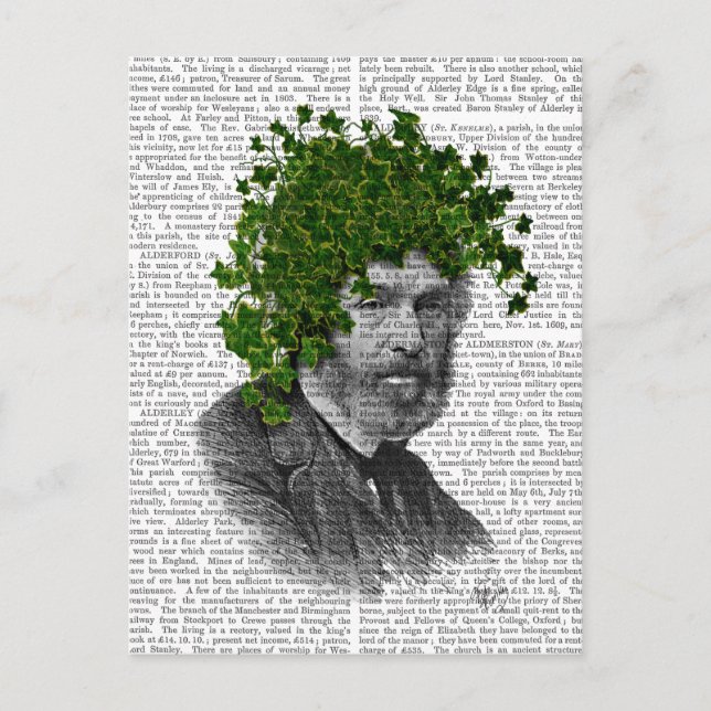 Cartão Postal Cabeça de Ivy Head Plant (Frente)