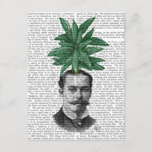 Cartão Postal Cabeça de Planta Evergreen Chinesa