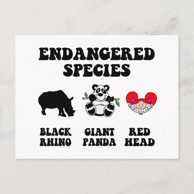 Cartão Postal Cabeça-de-rosa (Frente)