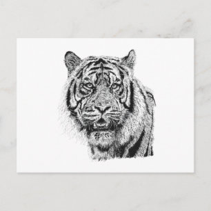 Cartão Postal Cabeça de Tigre em Pointillismo Preto e Branco Art