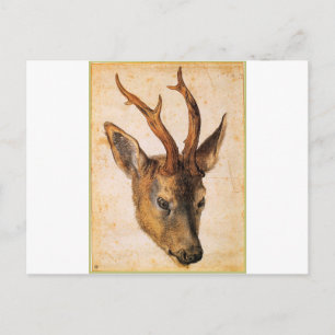 Cartão Postal Cabeça de um cervo por Albrecht Durer