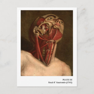 Cartão Postal Cabeça e pescoço da anatomia do vintage