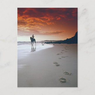 Cartão Postal Cabeça Para Casa