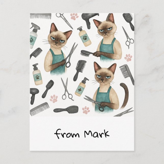 Cartão Postal Cabeleireiro de Gatos  (Frente)