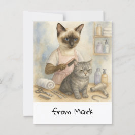 Cartão Postal Cabeleireiro de Gatos