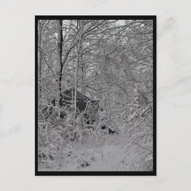 Cartão Postal Cabina no bosque (Frente)