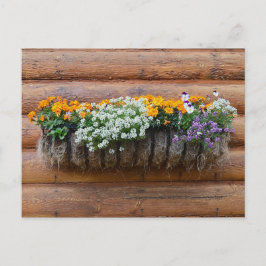 Cartão Postal Cabine de registro de plante de flores