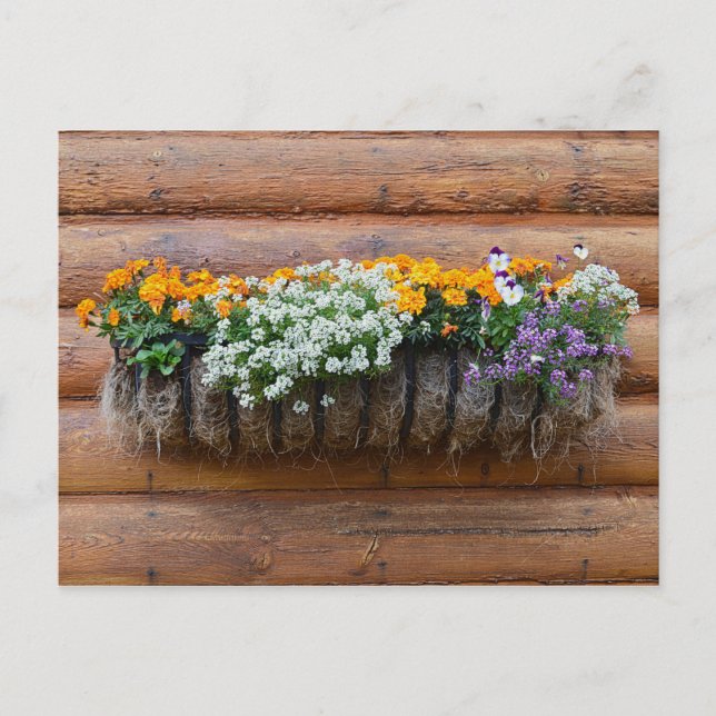 Cartão Postal Cabine de registro de plante de flores (Frente)