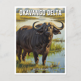 Cartão Postal Cabo Buffalo no Delta de Okavango