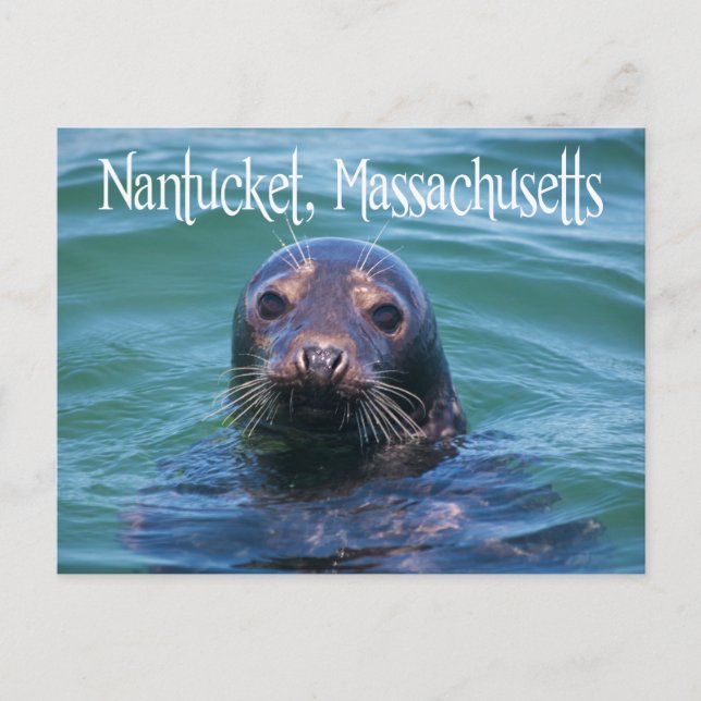Cartão Postal Cabo Cod, Nantucket, Massachusetts Seal Postcard (Frente)