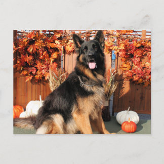 Cartão Postal Cabo - Foto do German shepherd nº 1