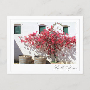 Cartão Postal Cabo Ocidental Edifício de Fazendas de Vinho