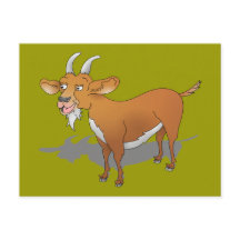 Cabra de barba feliz