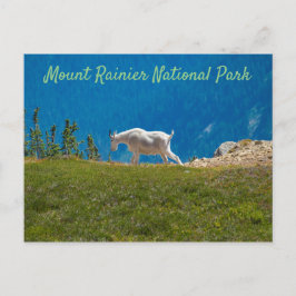 Cartão Postal Cabra de montanha em Panhandle Gap Mt. Rainier