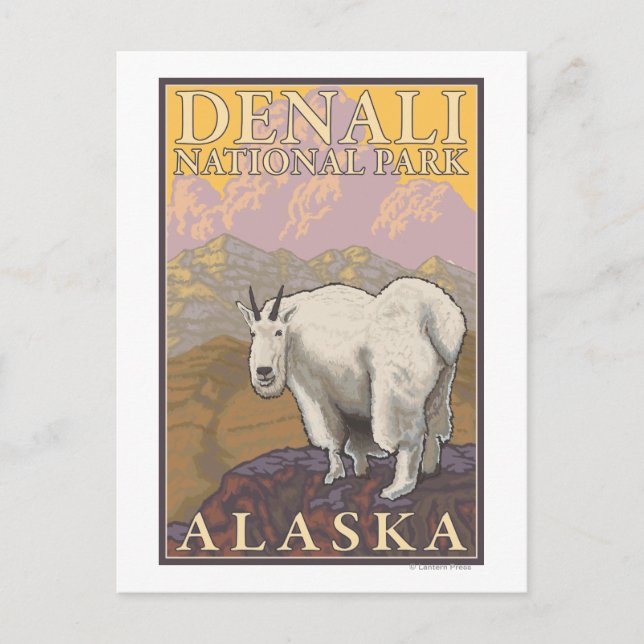 Cartão Postal Cabra de montanha - Parque Nacional Denali, Alasca (Frente)