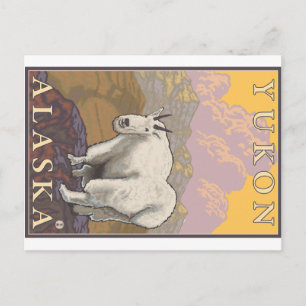 Cartão Postal Cabra Montês - Yukon, Alasca