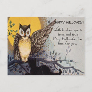Cartão Postal Cabra Negra Gato de Lua Completa Noite de Árvore